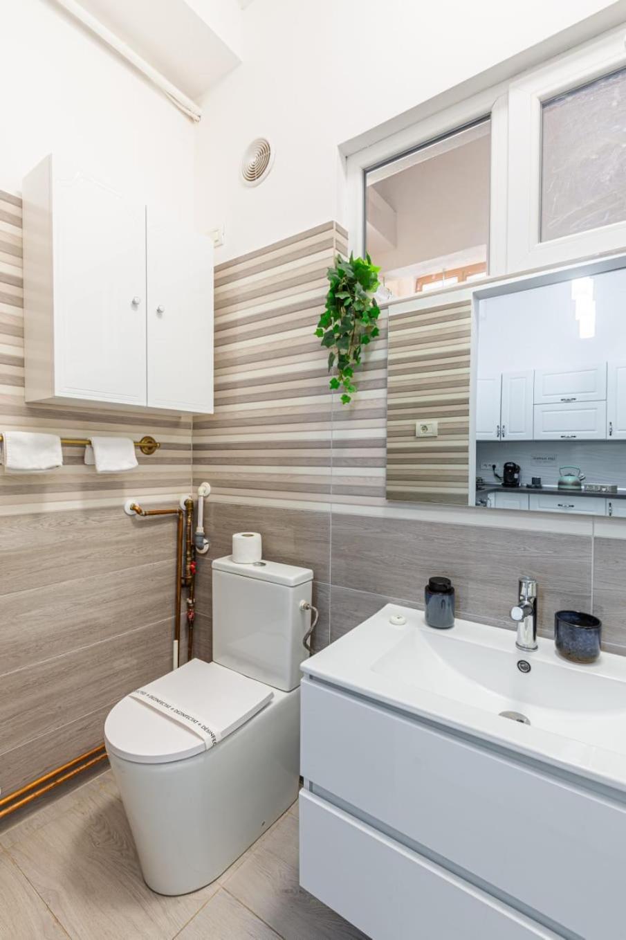 Central,relaxing&cozy Apartment Timişoara